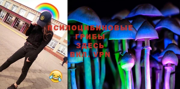 2c-b Мегион