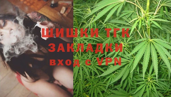 a pvp Магас