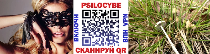 Псилоцибиновые грибы мухоморы  Новотроицк 