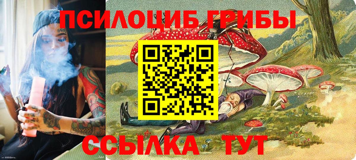 Псилоцибиновые грибы MAGIC MUSHROOMS  Новотроицк  купить наркотик  Галлюциногенные грибы GOLDEN TEACHER 