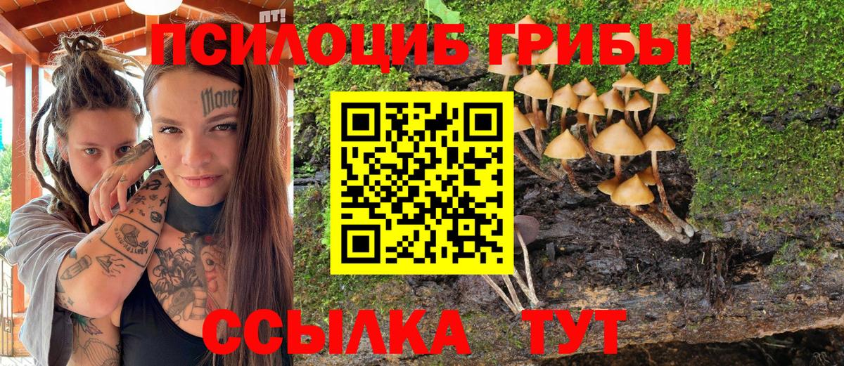 Галлюциногенные грибы мицелий Новотроицк