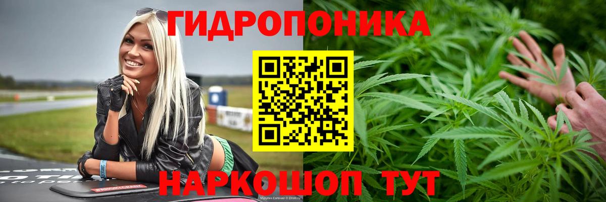 Новотроицк  Бошки марихуана ГИДРОПОН  Вход с VPN  Канабис Amnesia 
